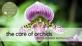 The Care of Orchids