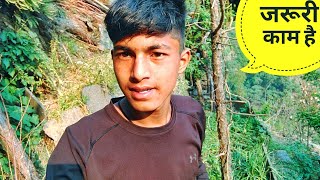 मानसून वाली सब्जी की तैयारी अभी से शुरू||pahadi lifestyle vlog|| cool pahadi || Anuj khoyal