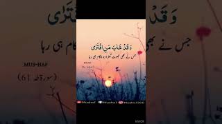 اللہ تعالی بہت بلند شان والا ہے #shortfeed #youtubeshort #islamicshorts #beautyofnorway