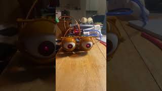 Animatronic Human Eyes