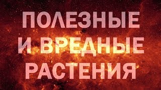 О НЕДОЦІЛЬНОСТІ ВЖИВАННЯ НАРКОТИКІВ 20 07 2014 1 наркотики не можуть бути потрібними   це отрут!