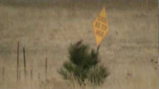 The First Meadowlark of Spring 2010