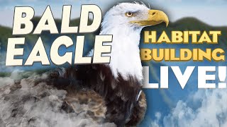 Let's Build for FLYING Bald Eagles! | Planet Zoo Building Livestream