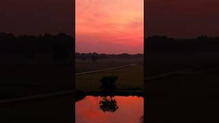 Sunset Over Rice Fields #thailand @bugeater38