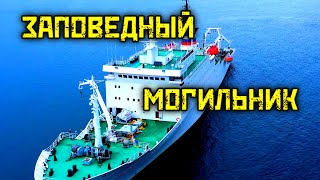 Одно из самых страшных мест на планете. Заповедный могильник. Карское море