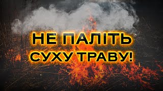 Припиніть палити суху траву! Клятий раціоналіст