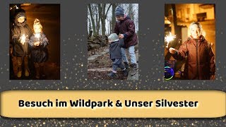 Unser Silvester / Ausflug in den Wildtierpark / Vlog #13