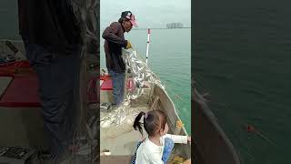 Ikan Tamban umpan rawai🤲😍 #shorts #short #fyp #like #viral #subscribe #foryou #share #laut #nelayan