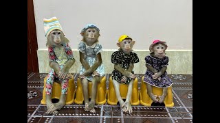 4 Siblings Sit Very WELL-BEHAVED Like A BOSS Waiting Mom To Prepare Veggies For Them To Eat ,