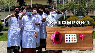 LAPORAN PRAKTIKUM KIMIA | Indikator Asam Basa dari Bahan Alami