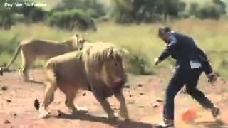 Man Versus Lion Freestyle Soccer