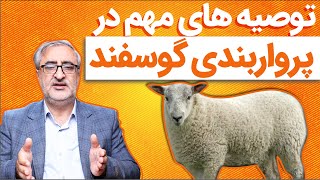 توصیه های مهم در پرواربندی گوسفند