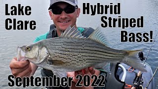 Indiana Kayak Fishing: Lake Clare Hybrid Striped Bass (Wiper) 9/4/22