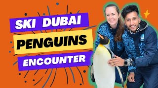 Ski Dubai penguins | Penguin Encounter