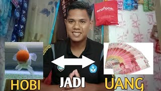 HOBI jadi Uang || Ternak Ikan Hias