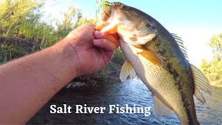 Fishing on the SALT RIVER AZ