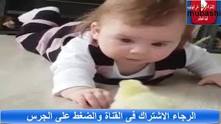 مواقف مضحكة جدا للاطفال