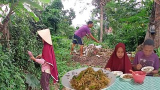 Aktivitas Hidup Di Desa, Memasak Tumis Ontong Atau Jantung Pisang , Rebon, Sangat Enak Makan Bersama