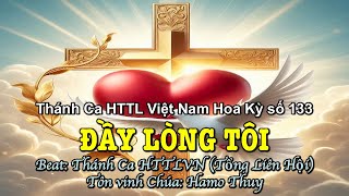 133 Đầy Lòng Tôi - Hamo Thuy