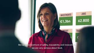 Generously Efficient: Brand video 'Flanders Accelerates!' (Vlaanderen Versnelt!)