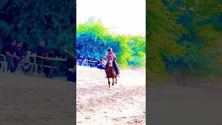 Tent pegging training Dubai #horse #horseridingschool #horseriding #horseing #horsebackriding