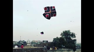 Patang Bazi in UK ( Kite Flying ) Pindi Basant 2018 Gudda Black Cobra