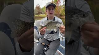 A quick over view of some of the crappie we caught this last weekend #fishing #outdoor #mississippi