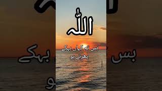 اللّٰہ جو اپنی رحمت کا دروازا کھول دے۔#quotes #status #whatsappstatus #قرآن #qurantranslation #quran