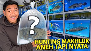 BELI IKAN ANEH TAPI NYATA! KEPOTONG SEBELAH TAPI MASIH HIDUP?! UNIK BANGET HEWAN INI!