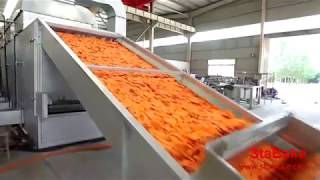 Carrot drying machine