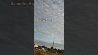 Samudra Awan Kapas di Bandung Pagi ini..#ytshorts #shorts #bandung #fyp #jalanjalankebandung #viral