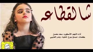 شيلة رقص جديده 2022 شالقطاء - اداء سعد محسن/ شيلات حماسيه طرب