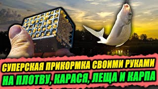 Суперская ОВСЯНАЯ ПРИКОРМКА для РЫБАЛКИ СВОИМИ РУКАМИ! Показываю РЕЦЕПТ + ОТЧЕТ С РЫБАЛКИ