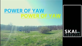 I didn't think so. Absolutely ingenious. Power of YAW #FPV #PFVLIFE #SKAIFPV #YAW #POWER #SUBSCRIPE