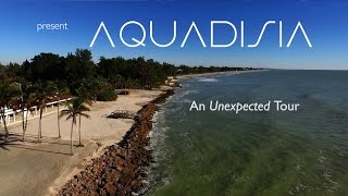 The Ultimate, Out-of-this-World Tour of Aquadisia on Siesta Key