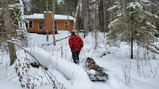 Off grid cabin struggles, Truck  stuck , wood gathering, cooking on the woodstove .