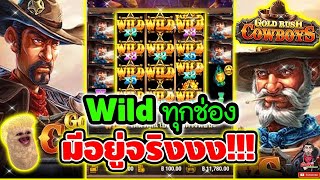 wildเต็มช่อง มีอยู่จริง !!! 😱│เกม Gold Rush Cowboys ➤ Fastspin