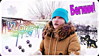 VLOG//ВЕСЕЛО ИГРАЕМ В СНЕЖКИ ВМЕСТЕ С БАРНИ💖