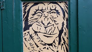 Chimpanzee cut on ply, scroll saw project