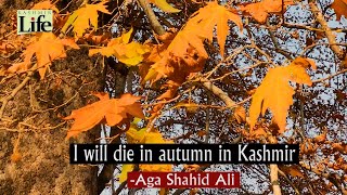 Kashmir: The Autumn Season