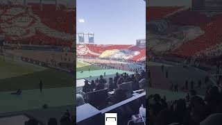 تيفو جمهور الوداد الرياضي في كأس العالم للأندية 😍#الوداد_الرياضي #كأس_العالم_للأندية #wydad #shorts