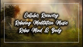 Relaxing Meditation Music | Relax Mind & Body | Cellular Recovery | 1 Hour Background Music