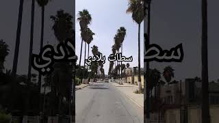 سطات يا  نوارة شحال كالو فيك شفارا