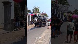 Nyamuk raksasa di karnaval kreatif#shorts