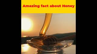 Amazing fact about Honey in hindi #shorts #ytshorts