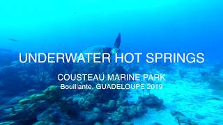 GUADELOUPE - Diving the COUSTEAU marine park and its underwater hot springs