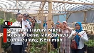 Program Harum Madu Kepala Desa Margahayu Lupa Pulang Kerumah