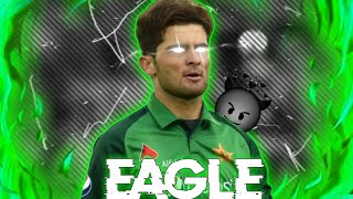 Agency x Shaheen Afridi | Velocit Edit | Tayyab Qureshi