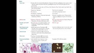 stains of bacteria| microbiology lectures| first aid USMLE|Fcps part-1 preparation forum