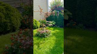 My front garden in early fall. #garden #fall #fallplanting #fallcolors ￼